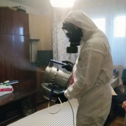 Дезинфекция от клопов в Любиме
