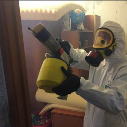 Уничтожение клопов в квартире. Любим